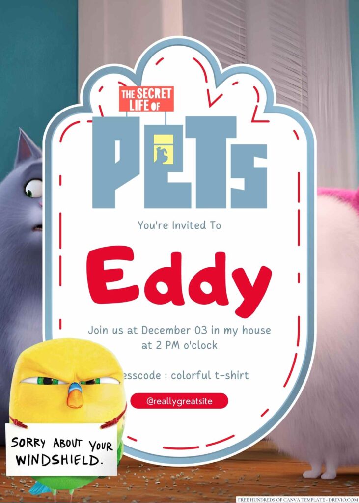 The Secret Life Of Pets Birthday Invitation