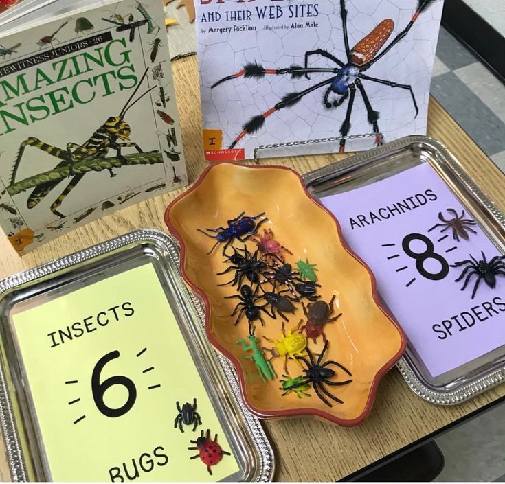 Forest-themed Ant Bully Canva birthday invitation for kids