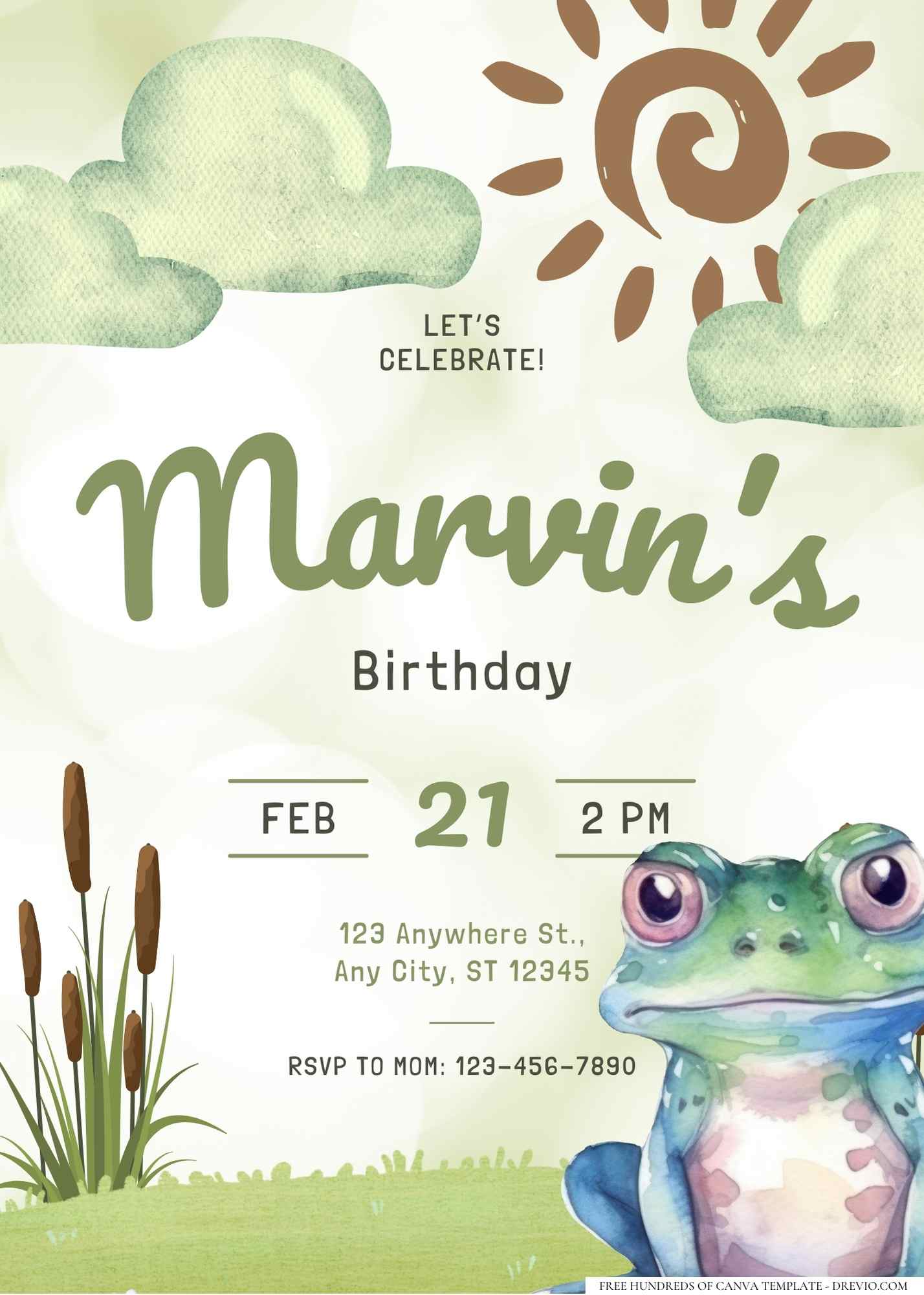 16+ The Frog Birthday Invitation Templates