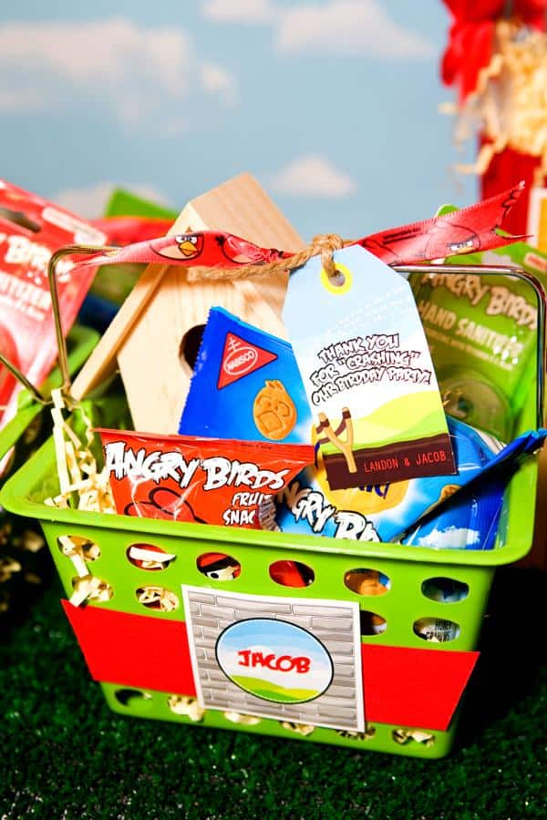 Angry Birds Birthday Favors