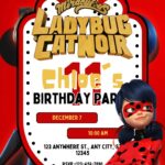 16+ Miraculous Ladybug & Cat Noir Birthday Invitation