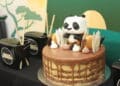 Kungfu Panda Birthday Party