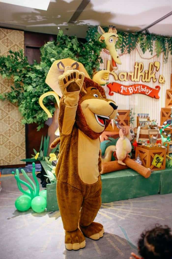 Madagascar Birthday Costume