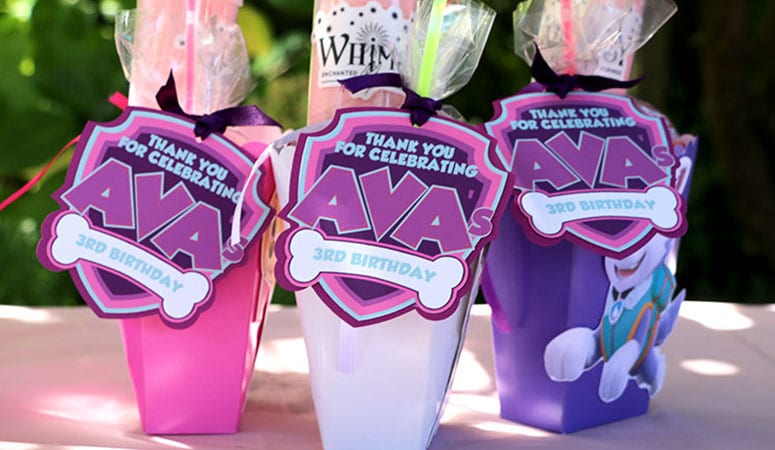 Paw Patrol Birthday Favors