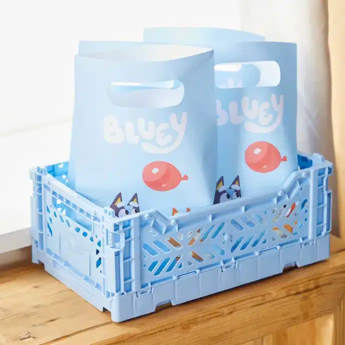 Bluey Birthday Party Favors