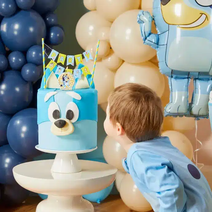 Bluey Birthday Party