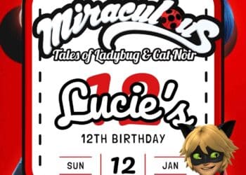 FREE Miraculous Lady Bug Birthday Invitations