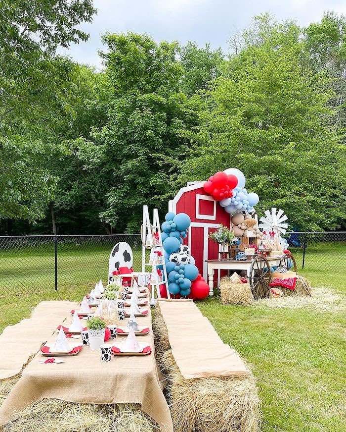 Farm Birthday Decor