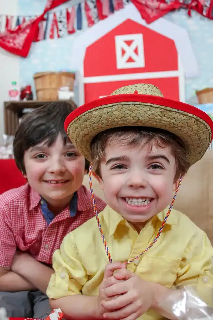 Farm Birthday Party Ideas