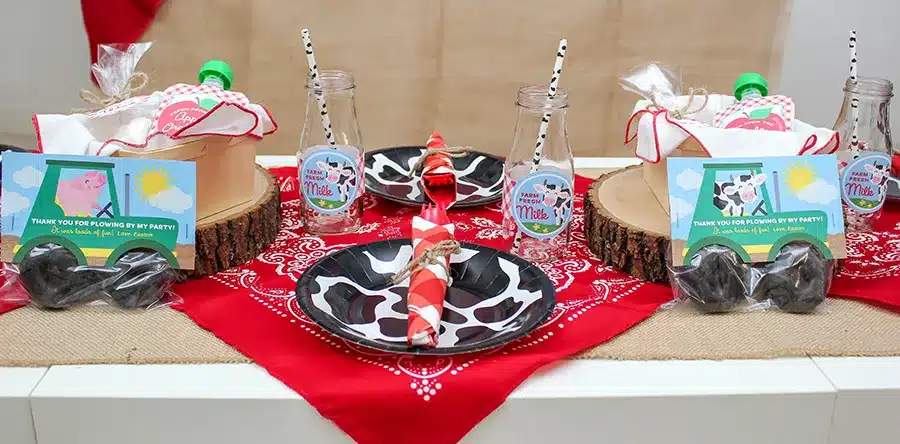 Farm Birthday Table Setting