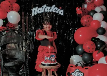 Miraculous Ladybug Birthday