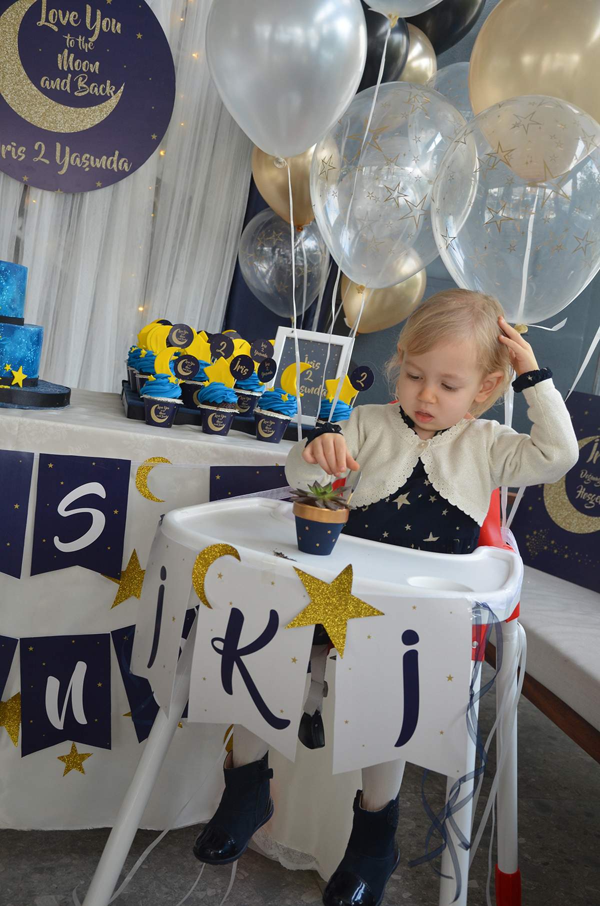 Free Editable Moon and Stars Birthday Invitations