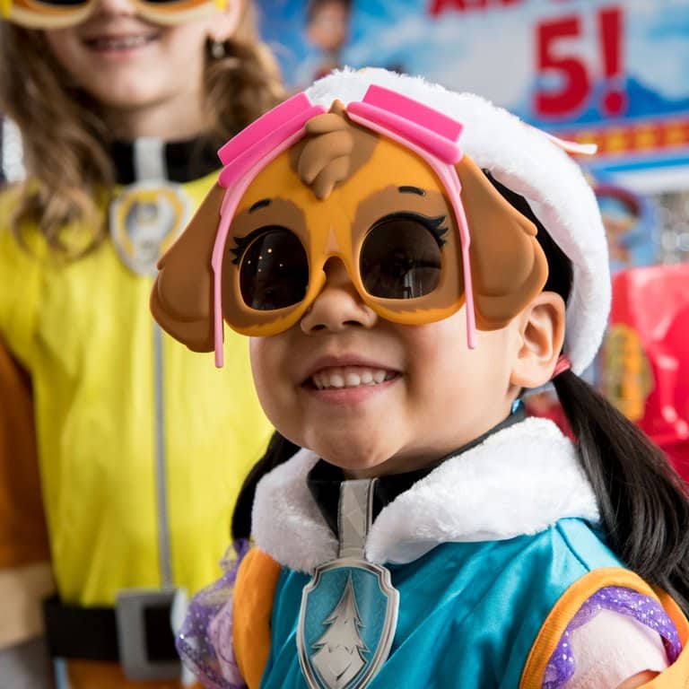 Paw Patrol Birthday Party