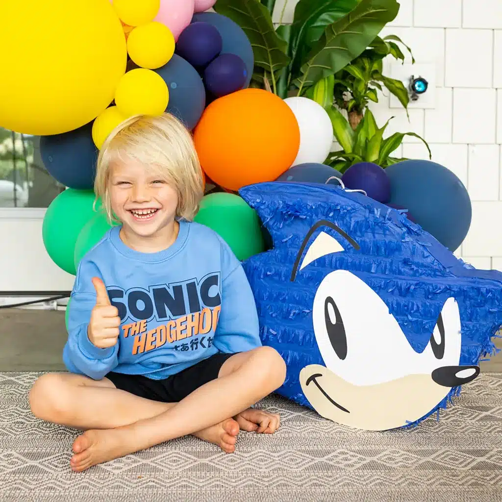 Sonic Birthday Party Ideas