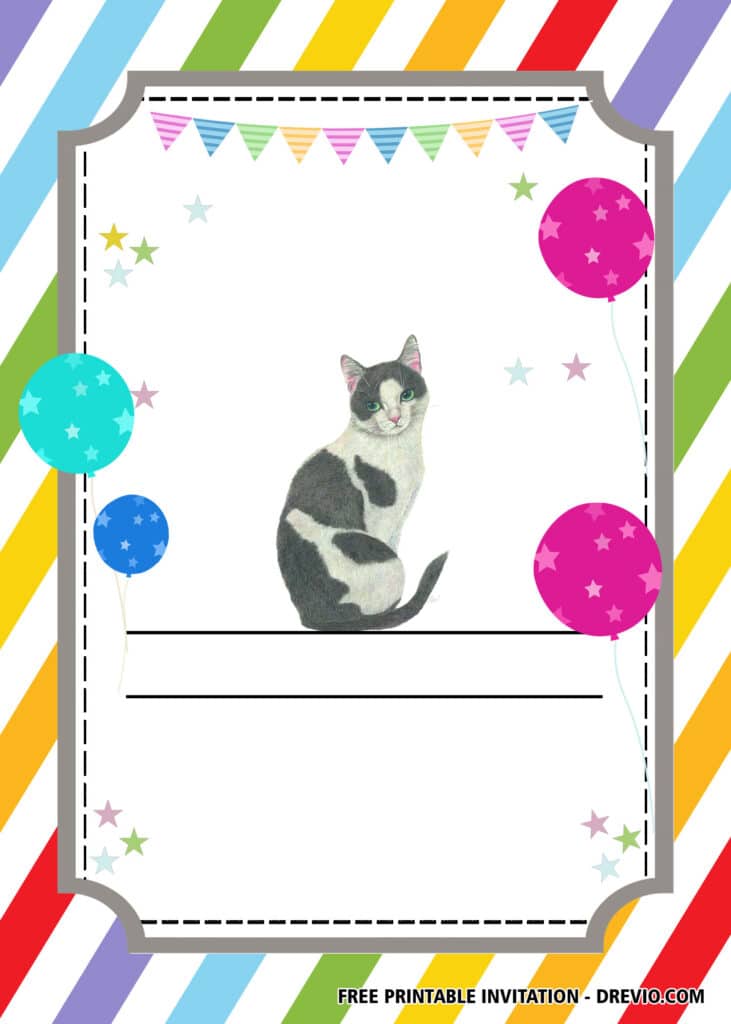 belum cat party Birthday Invitation 4