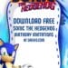 FREE Editable Sonic the Hedgehog Birthday Invitation