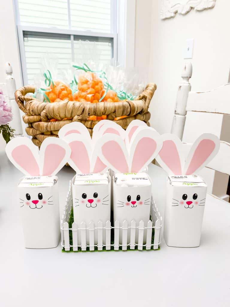 Bunny Birthday Party Goodies