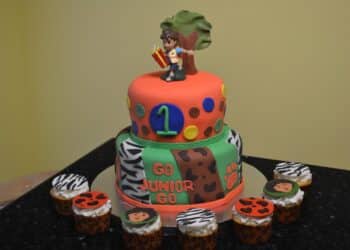 Go Diego Go Birthday Party Cakes