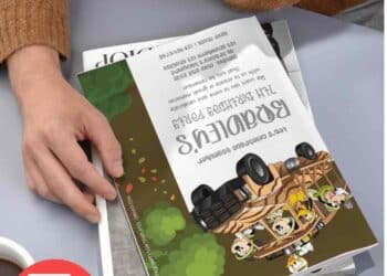 5 6