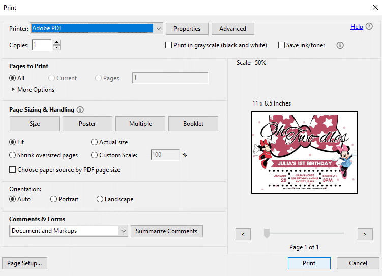 Preview of Printing Setting