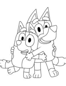 bluey and bingo