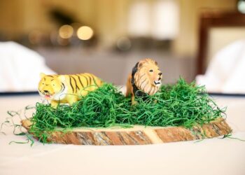 Safari Birthday Party Centerpieces
