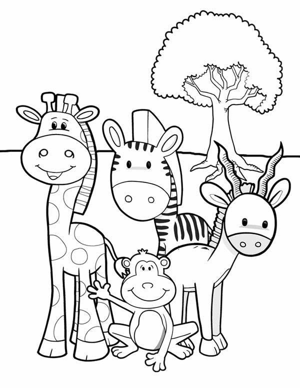 Safari Coloring Pages