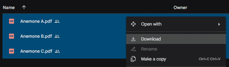 Preview of Download Page