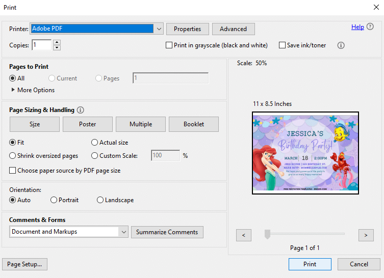 Preview of Printing Setting