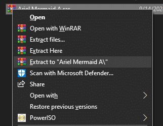 Preview of Extracting the file