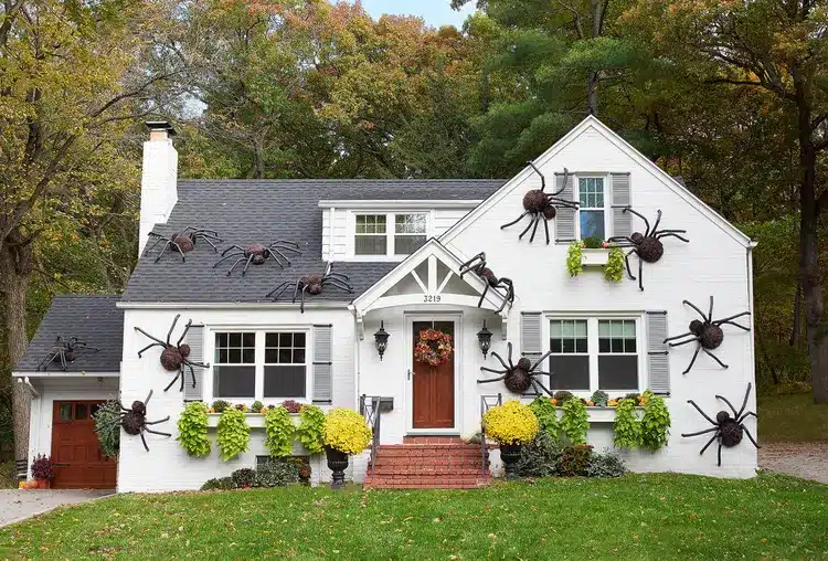 house giant spiders facade 3bae7f5f 7d806e0a8fd94447a9a2eaa92ba9eb4c