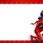 Top 10 Ladybug Birthday Invitations