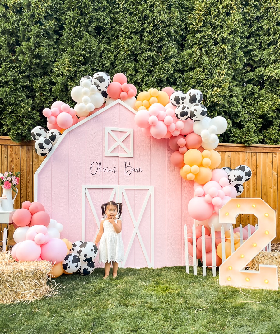 2nd Birthday Party
