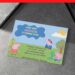 Peppa Pig Sunny Day Birthday Invitations