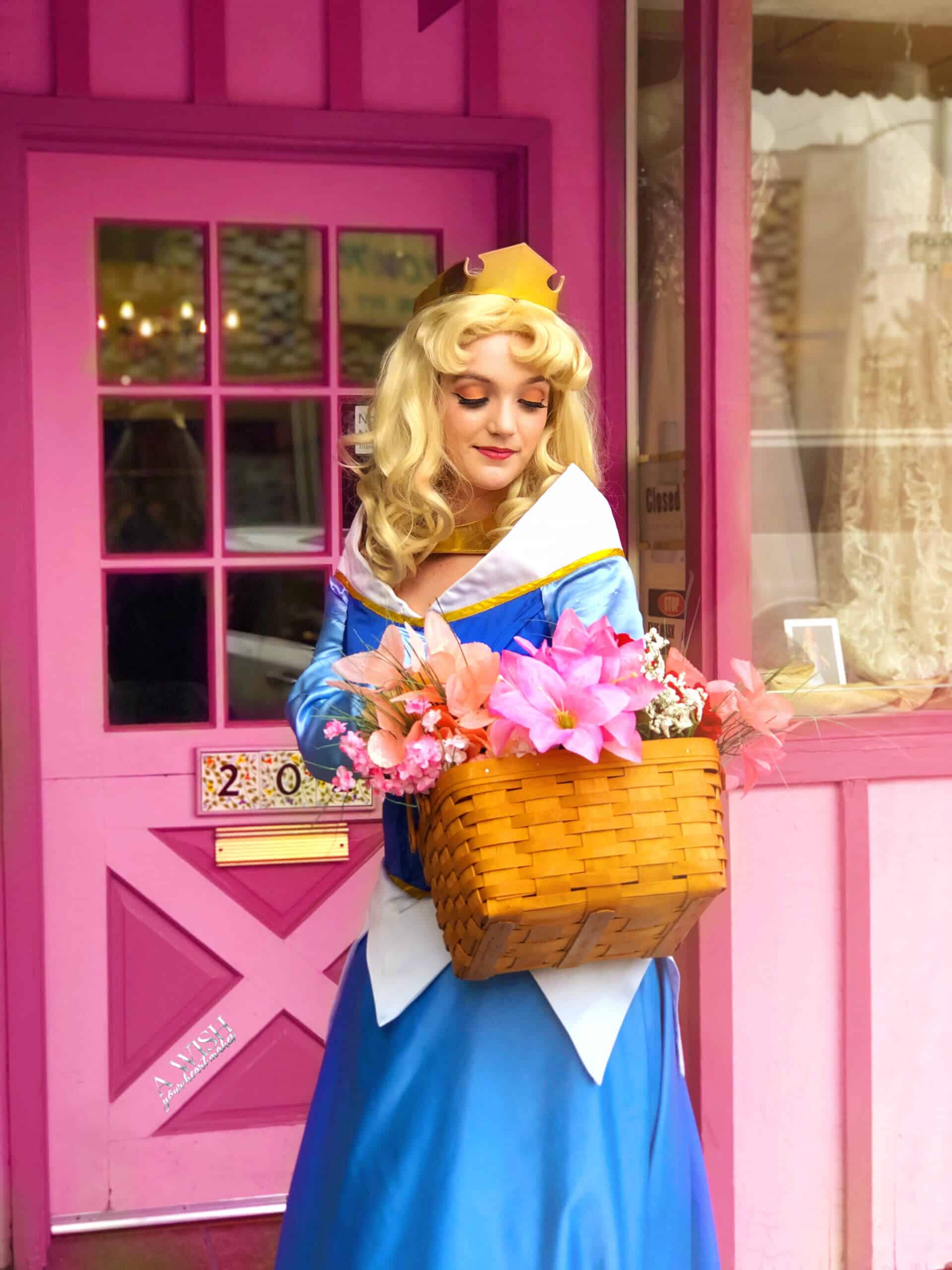 Sleeping Beauty Birthday Party