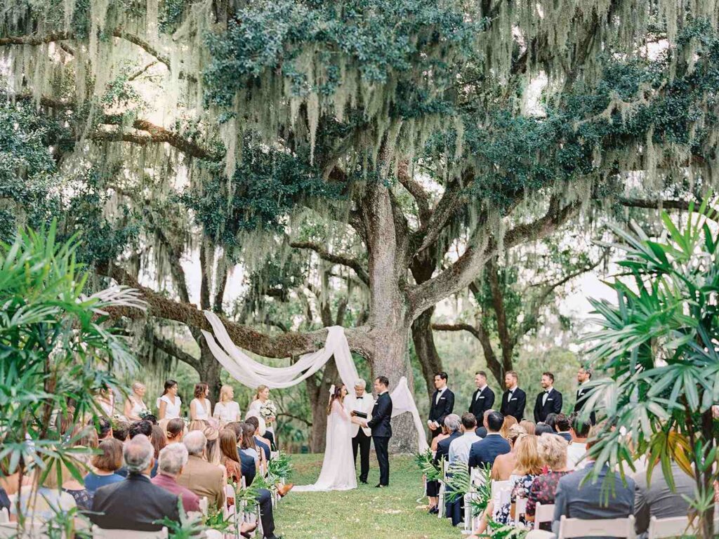 Beautiful wedding venue under the tree