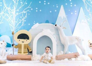 Arctic Animals Birthday Party Planner
