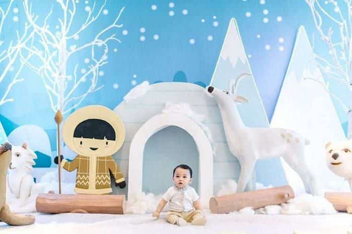 Arctic Animals Birthday Party Planner