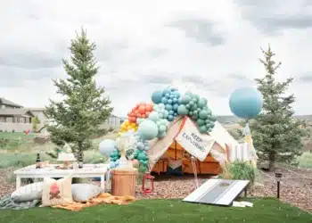 Camping Under the Stars Birthday Party Planner