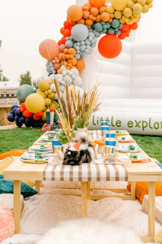 Camping Under the Stars Birthday Party Planner
