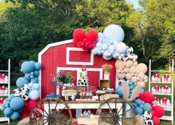 Farmyard Fun Birthday