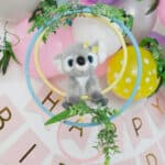 Outback Aussie Birthday: FREE Template Planner & Canva Invitations