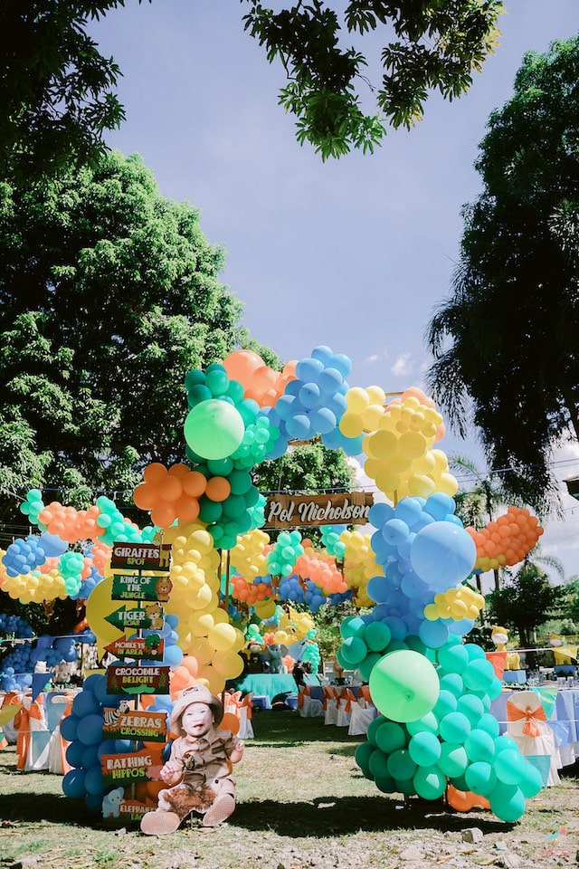 Safari Adventure Birthday Party Planner