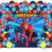 Spider-Man Birthday Party (Credit: ubuy)