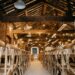 Urban Luxe Wedding Party Planner