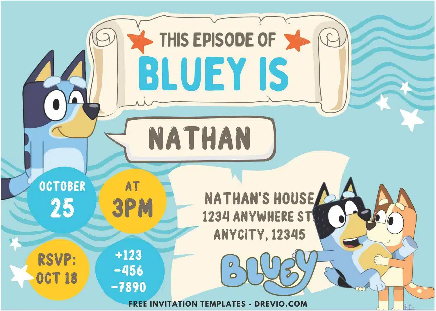 Bluey Birthday Party Invites