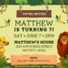 Simba And Mufasa Lion King Birthday Party Invitations