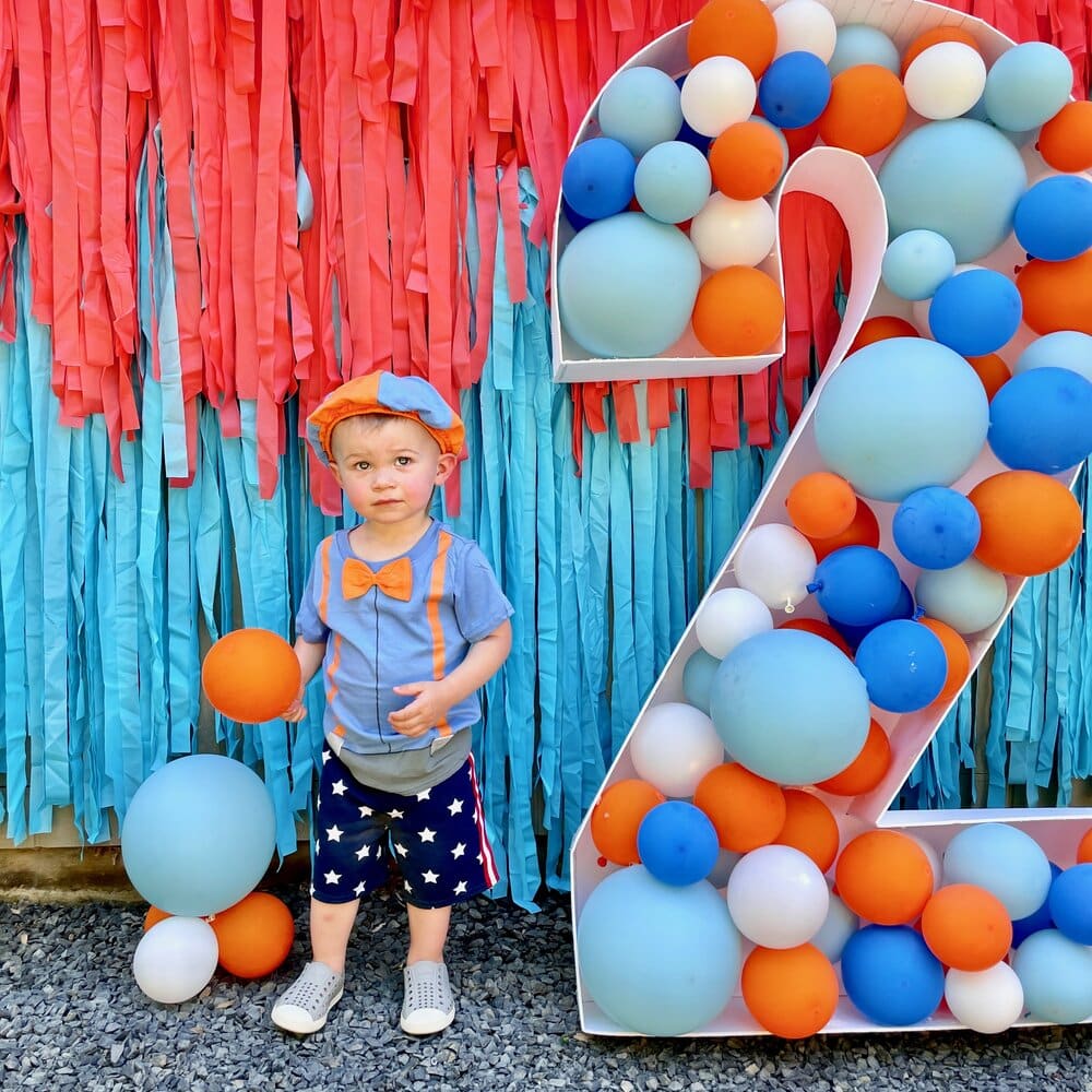 Blippi Inspired Party Backdrop