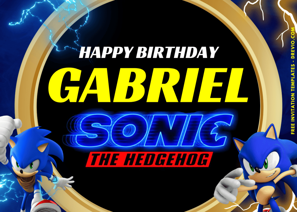 Sonic The Hedgehog Birthday Party Backdrop Banner