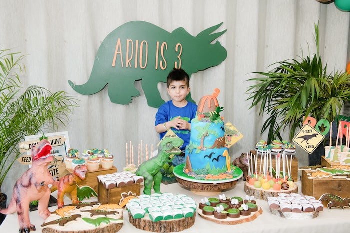 Cute Boy celebrate his birthday with Dinosaur Birthday Theme